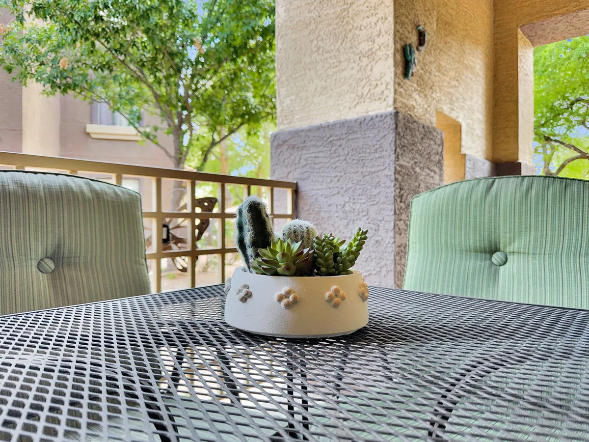 A close-up of a succulent arrangement graces a textured outdoor table, surrounded by green cushions. The scene exudes calm and warmth, capturing the atmosphere of enjoying sunrise views, starlit evenings, and outdoor meals in a tranquil, sun-drenched setting.
